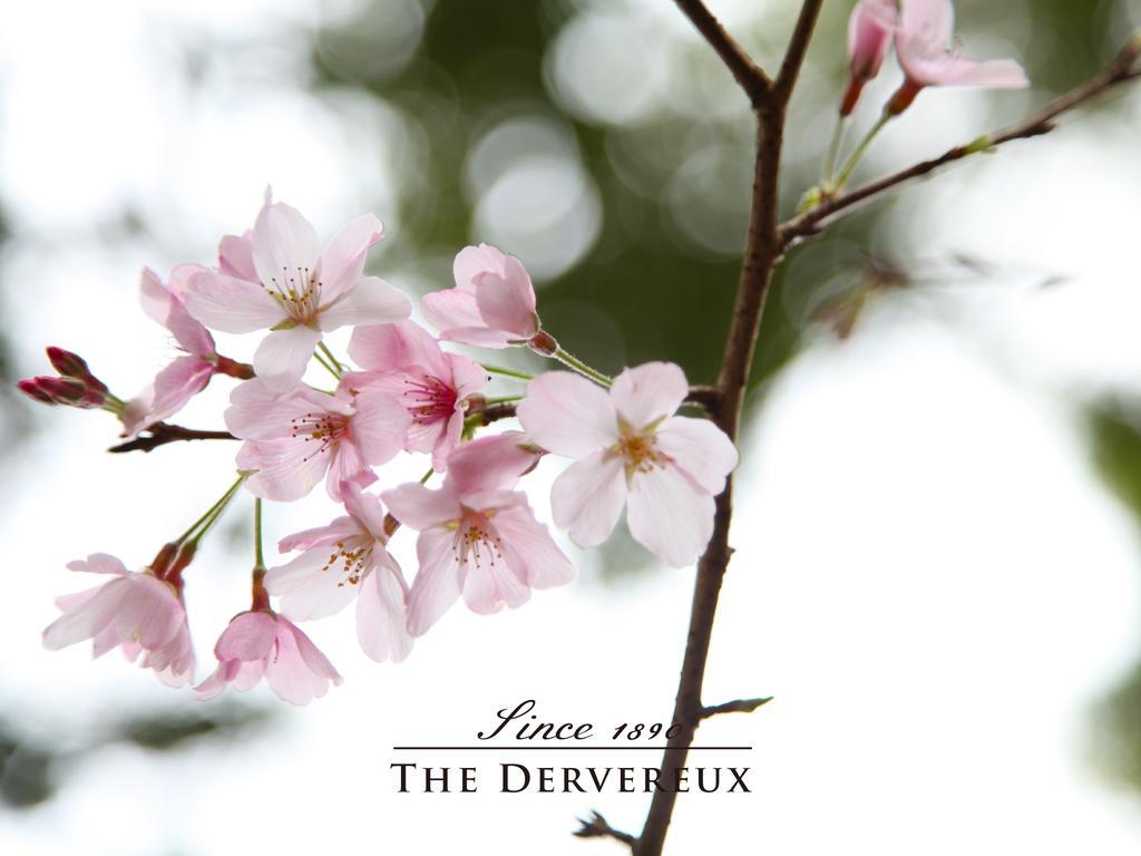The Devereux Boutique Hotel Auckland Extérieur photo